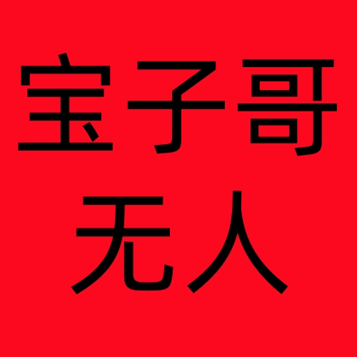 宝子哥*无人直播